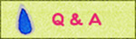 Q&A