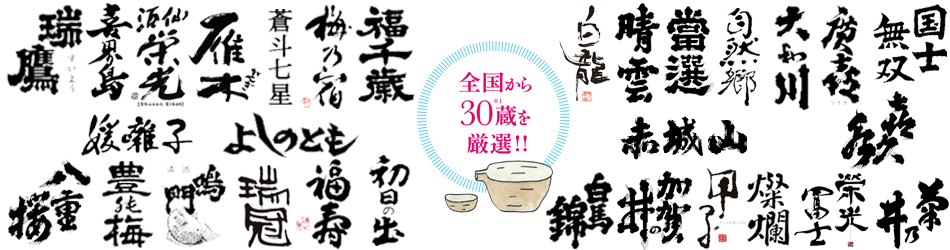 sakefesta_head2